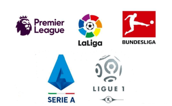 不仅是为了 不仅是为了